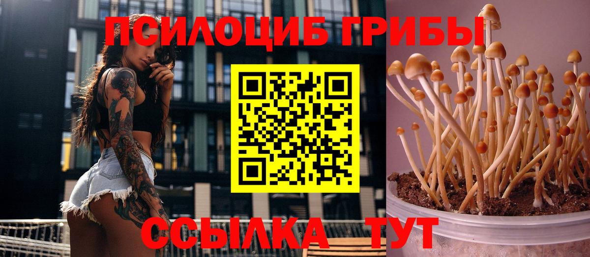 Галлюциногенные грибы мухоморы  Вход с VPN  Кинель 